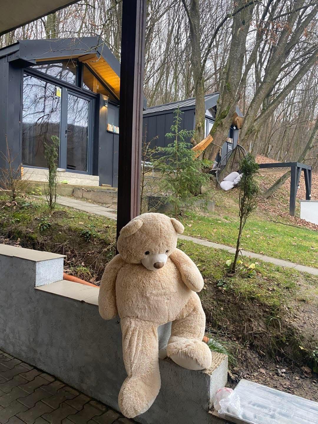 Căsuțe Scandinave - cabane de închiriat în Transilvania - imagine 2 - 4